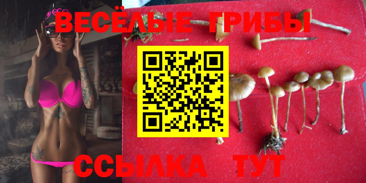 Галлюциногенные грибы ЛСД  Вход с VPN  Стрежевой 
