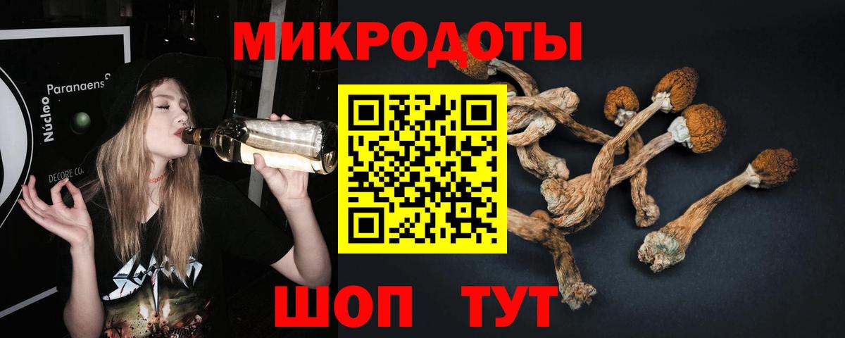 Псилоцибиновые грибы прущие грибы Стрежевой
